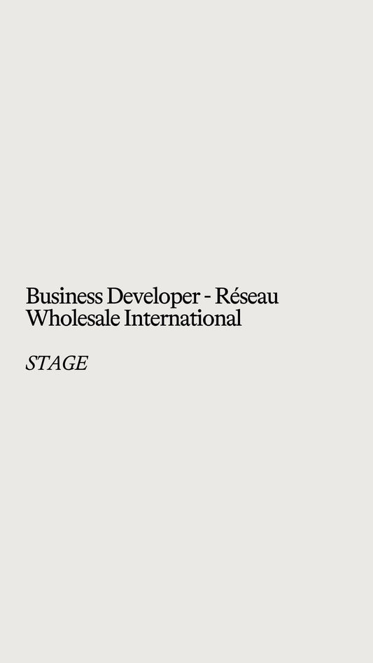 Business Developer - Réseau wholesale international (STAGE)