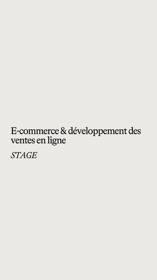 E-commerce & Développement des ventes en ligne (STAGE)